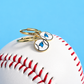 Blue Jay Charms