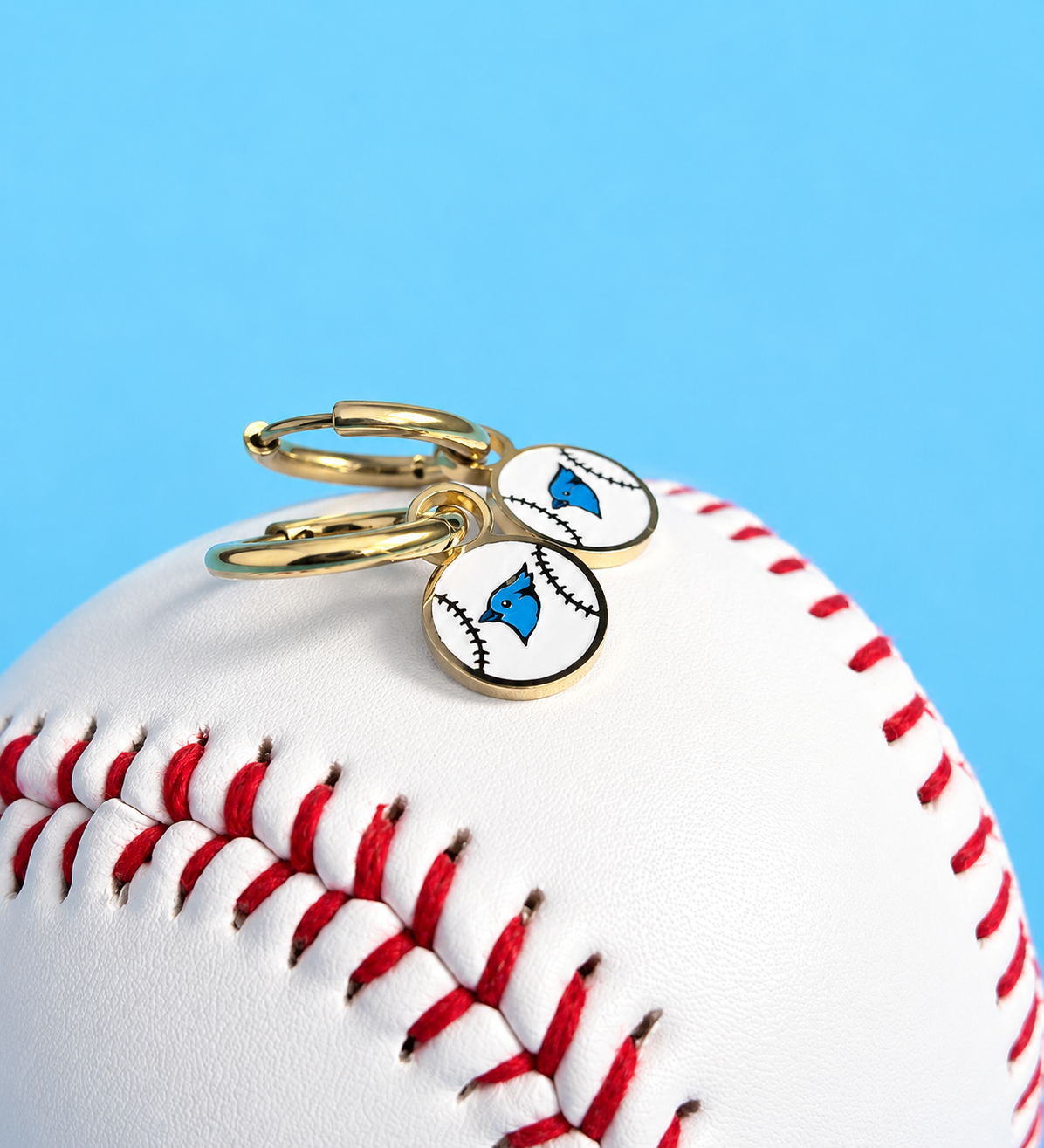 Blue Jay Charms