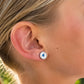 Blue Jay Studs